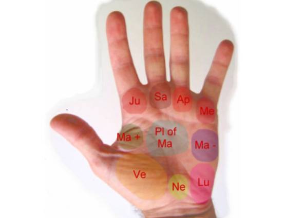 क्या आपके हाथ में हैं अमीर बनने के ये खास निशान?