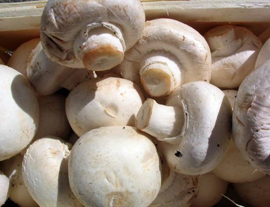 दोबारा गर्म करके कभी ना खाएं ये चीजें, सेहत के लिए है खतरनाक