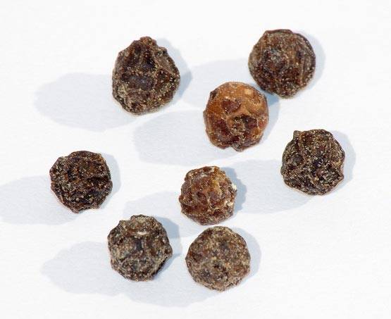 जुकाम से लेकर बवासीर तक, जानिए काली मिर्च के फायदे