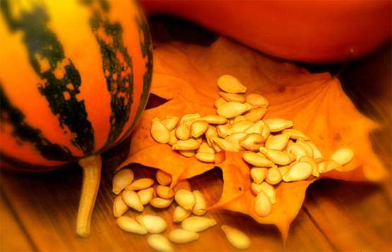 स्मार्ट और इंटेलिजेंट बच्चा चाहते हैं तो प्रेग्नेंसी में खाएं ये चीजें