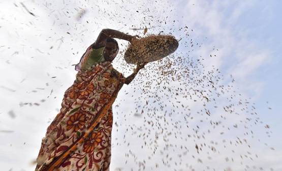 किसानों की खातिर घर बैठे करें ये काम, सरकार देगी 20 हजार