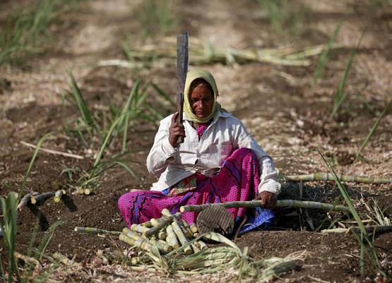 किसानों की खातिर घर बैठे करें ये काम, सरकार देगी 20 हजार