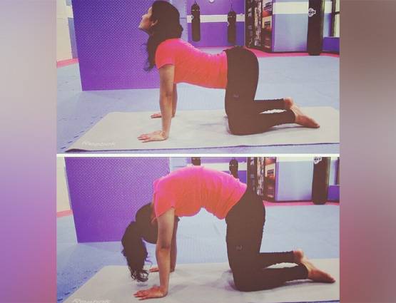 कंधे और पीठ में दर्द रहता है तो करें ये योगासन