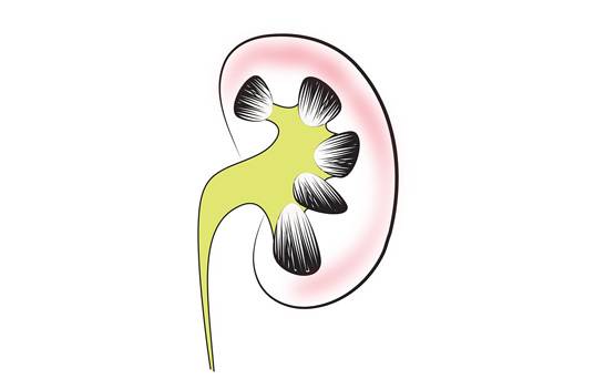 खरबूजे में होते हैं ये औषधीय गुण, खूब खाएं