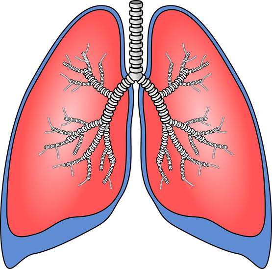 World Tuberculosis Day: जानें टीबी के लक्षण और बचाव के उपाय