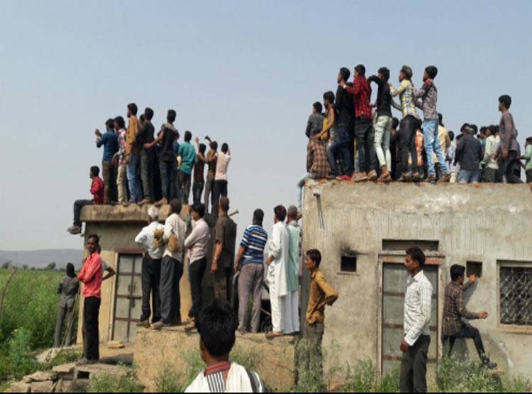 राजस्थान में 2 दिनों में 2 बाघ की मौत, एक हुआ लापता