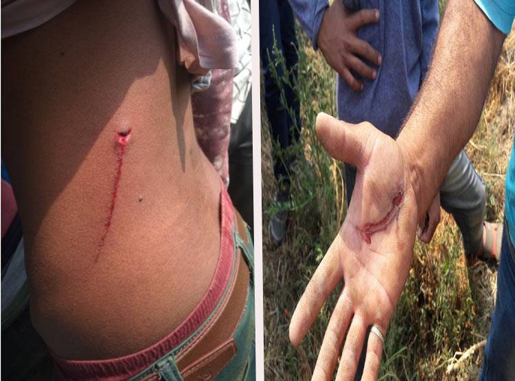 राजस्थान में 2 दिनों में 2 बाघ की मौत, एक हुआ लापता