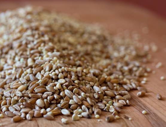 पतली कमर चाहिए तो खाएं ये 12 चीजें!