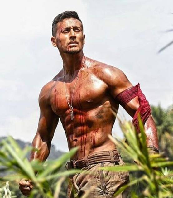 'पत्थरबाजी ठीक, तिरंगा जलाना बर्दाश्त नहीं', बागी2 के दमदार संवाद