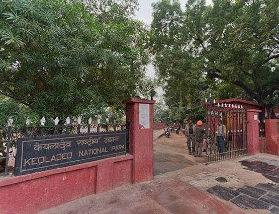 वर्ल्‍ड हेरिटेज डे: भारत की इन धरोहरों को नहीं देखा तो क्‍या देखा....