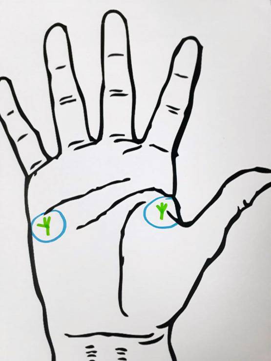 क्या आपकी हथेली पर है ये खास निशान? बहुत भाग्यशाली हैं आप