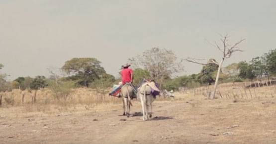 World Book Day: गरीब बच्चों के लिए गधे पर खोली अनोखी लाइब्रेरी