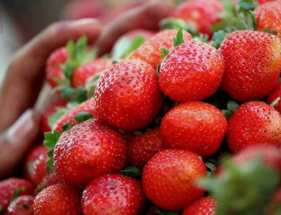 निखरी हुई त्वचा चाहते हैं तो जरूर खाएं ये 10 चीजें!