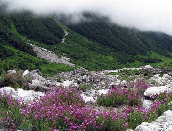 वर्ल्‍ड हेरिटेज डे: भारत की इन धरोहरों को नहीं देखा तो क्‍या देखा....