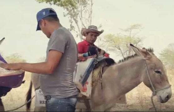 World Book Day: गरीब बच्चों के लिए गधे पर खोली अनोखी लाइब्रेरी