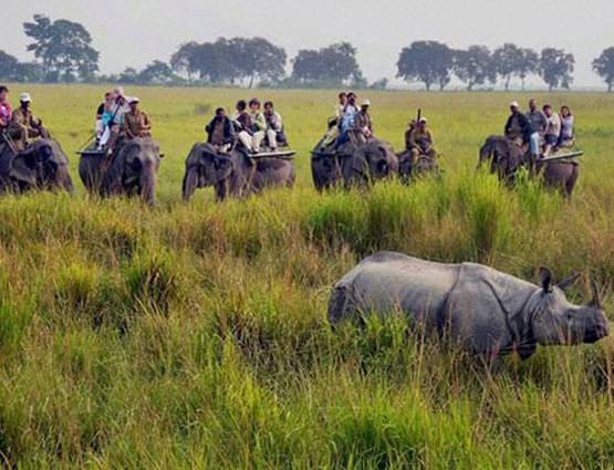 वर्ल्‍ड हेरिटेज डे: भारत की इन धरोहरों को नहीं देखा तो क्‍या देखा....