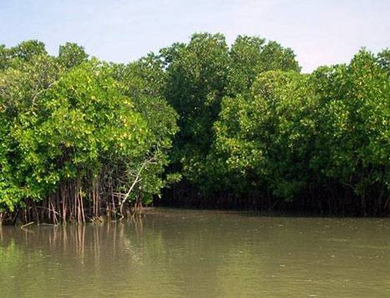 वर्ल्‍ड हेरिटेज डे: भारत की इन धरोहरों को नहीं देखा तो क्‍या देखा....