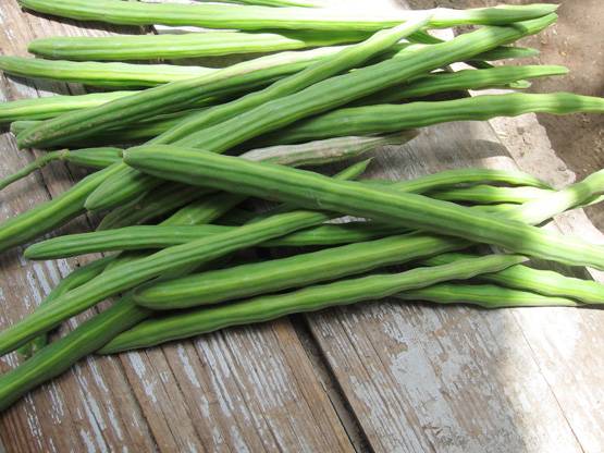 शारीरिक मजबूती चाहिए तो रोज करें इस सब्जी का सेवन