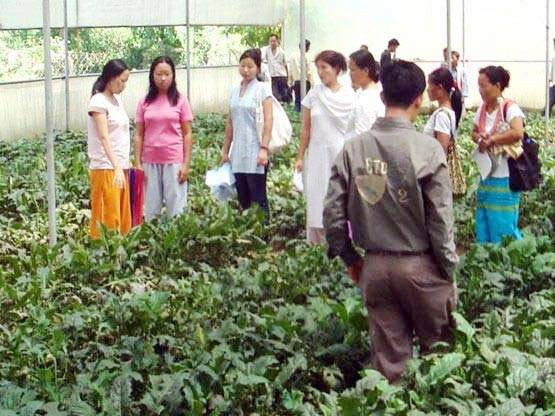 जानें- IGNOU और SOL में क्या है बेहतर? कैसे मिलेगा एडमिशन