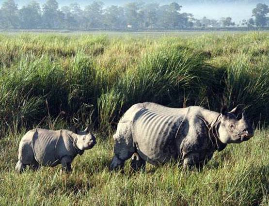 वर्ल्‍ड हेरिटेज डे: भारत की इन धरोहरों को नहीं देखा तो क्‍या देखा....