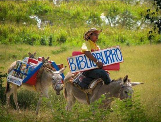 World Book Day: गरीब बच्चों के लिए गधे पर खोली अनोखी लाइब्रेरी
