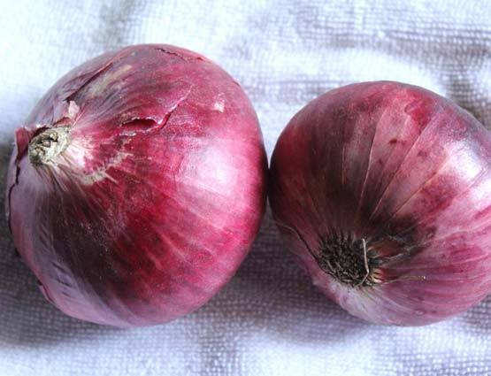 गर्मी में फूटती है नकसीर, करें ये आसान उपाय