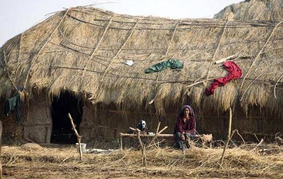 बकरवाल हिंदू हैं या मुस्लिम? कई युद्ध में बने सेना के मददगार