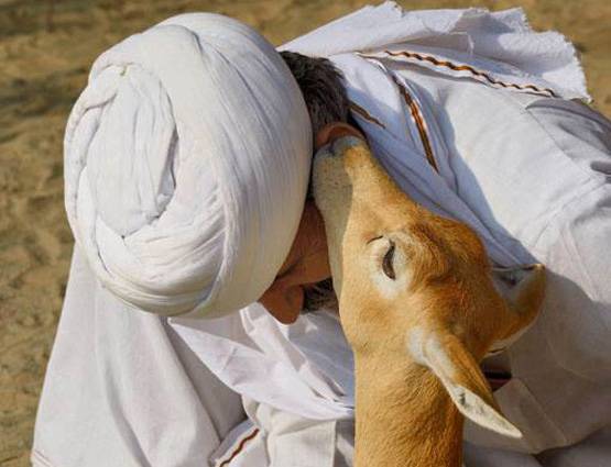 काले हिरण को पूजता है बिश्नोई समाज, सलमान के लिए ऐसे बना संकट