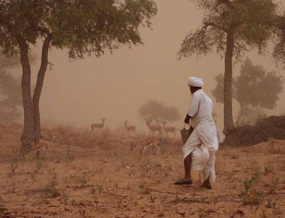 काले हिरण को पूजता है बिश्नोई समाज, सलमान के लिए ऐसे बना संकट