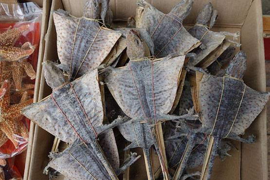 चीन में मोदी करेंगे डिनर, अजीबोगरीब डिश के लिए फेमस है ये देश