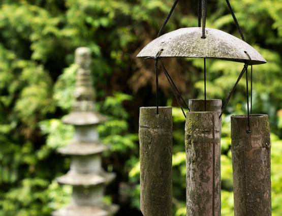 घर में सुख-समृद्धि के लिए अपनाएं ये 7 फेंगशुई टिप्स