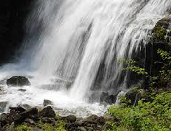 घर में सुख-समृद्धि के लिए अपनाएं ये 7 फेंगशुई टिप्स