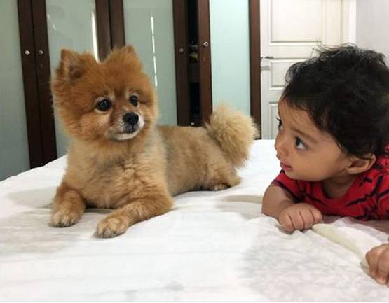 कंगना की गोद में खुश नजर आएं रंगोली के बेटे पृथ्वीराज, PHOTOS