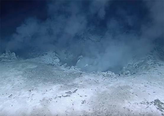 खतरनाक ज्वालामुखी को किस रहस्यमयी जीव ने बना रखा है घर!