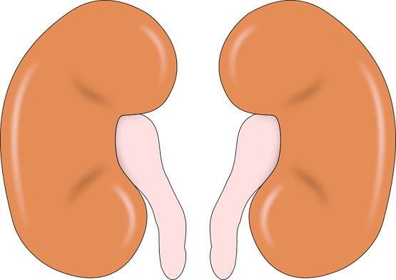 खूब पिएं गन्ने का जूस, होते हैं इतने सारे फायदे