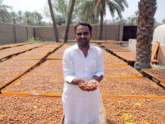 जानें- क्या है निपाह वायरस, और कैसे करें बचाव