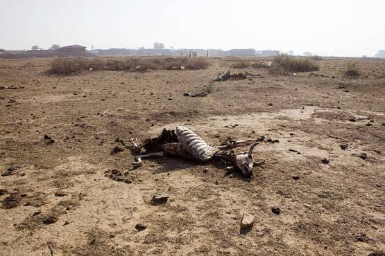 पानी खरीदने के लिए नहीं थे पैसे, 70 साल के इस शख्स ने खोदा कुआं