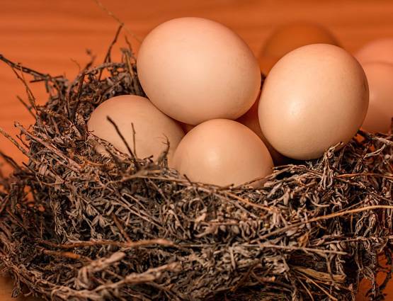 कील-मुंहासों से मिल जाएगा छुटकारा, अगर करेंगे ये घरेलू उपचार