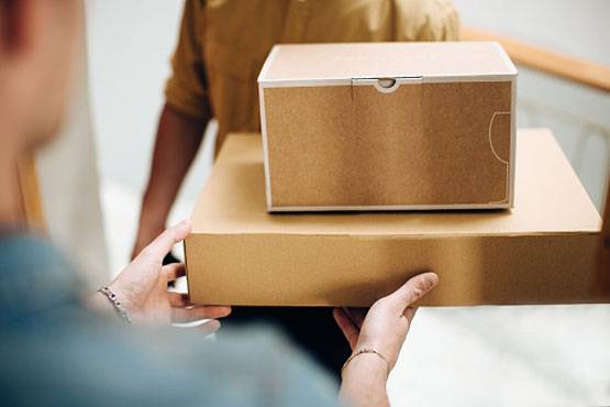 अरबपत‍ि का लखटकिया कुत्‍ता चुरा ले गया डिलीवरी बॉय