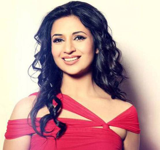 दिव्यांका से सुनील तक, टीवी शो से पहले ये काम करते थे स्टार्स