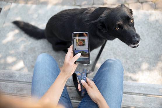 कुत्‍ते ने मालिक को मारी गोली, घायल ने पुलिस को किया कॉल