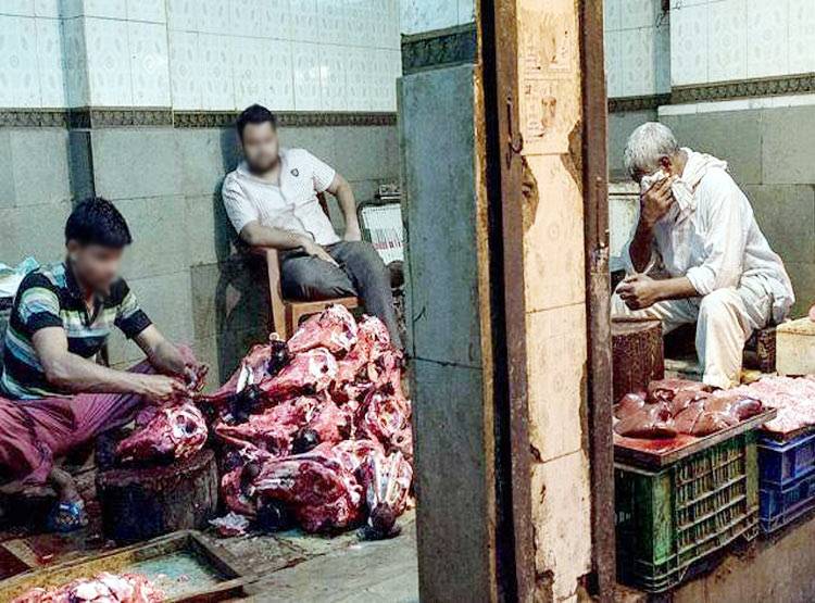 चिकन-मटन में ऐसे मिलाते थे कुत्ते-बिल्ली का मांस, चौंका देगा तरीका