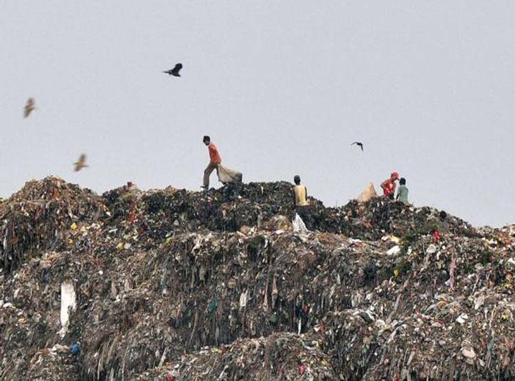 चिकन-मटन में ऐसे मिलाते थे कुत्ते-बिल्ली का मांस, चौंका देगा तरीका