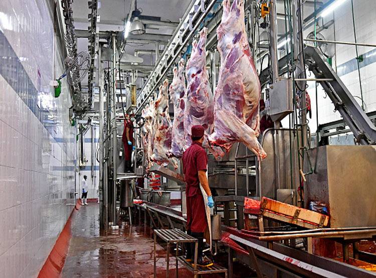 चिकन-मटन में ऐसे मिलाते थे कुत्ते-बिल्ली का मांस, चौंका देगा तरीका