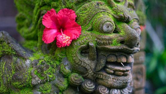 सबसे बड़ी मुस्लिम आबादी वाले देश में हिंदू धर्म का बोलबाला कैसे?