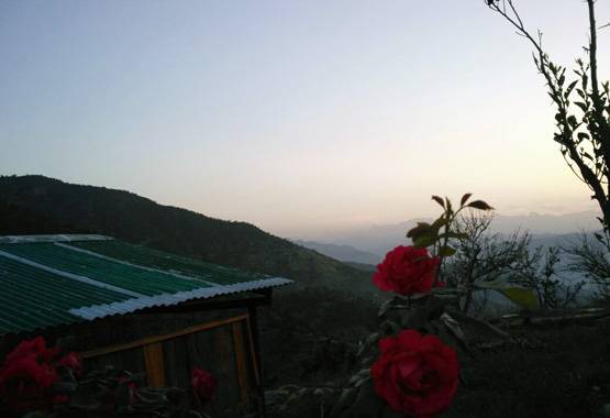 खंडहरों को बना रहे 'पहाड़ी हाउस', पलायन रोक ऐसे कर रहे कमाई