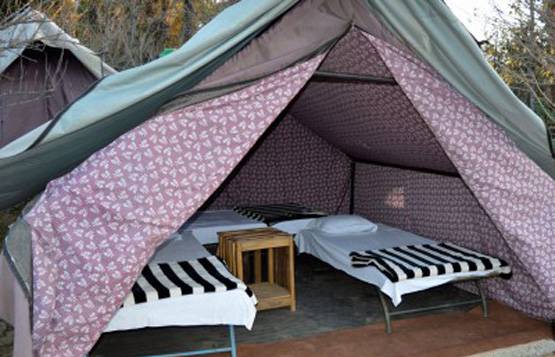 खंडहरों को बना रहे 'पहाड़ी हाउस', पलायन रोक ऐसे कर रहे कमाई