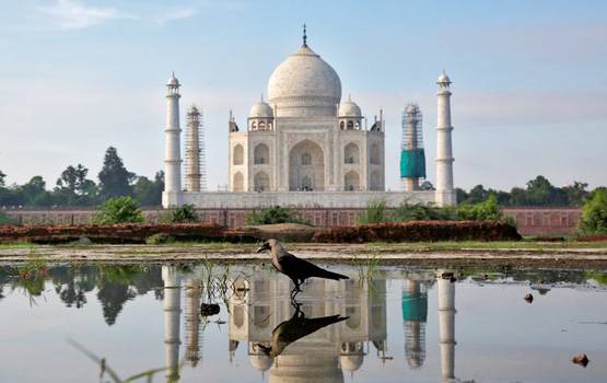 ताजमहल बदल रहा है रंग, सफेद से क्‍यों हो गया हरा, जानें वजह