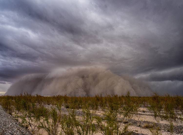 रेतीले तूफान का अलर्ट! जानें- क्यों होता है ज्यादा खतरनाक