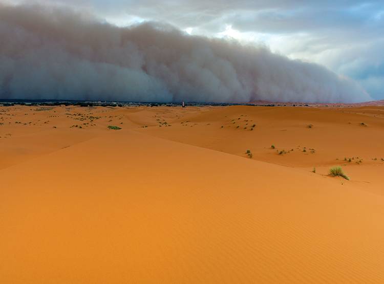 रेतीले तूफान का अलर्ट! जानें- क्यों होता है ज्यादा खतरनाक
